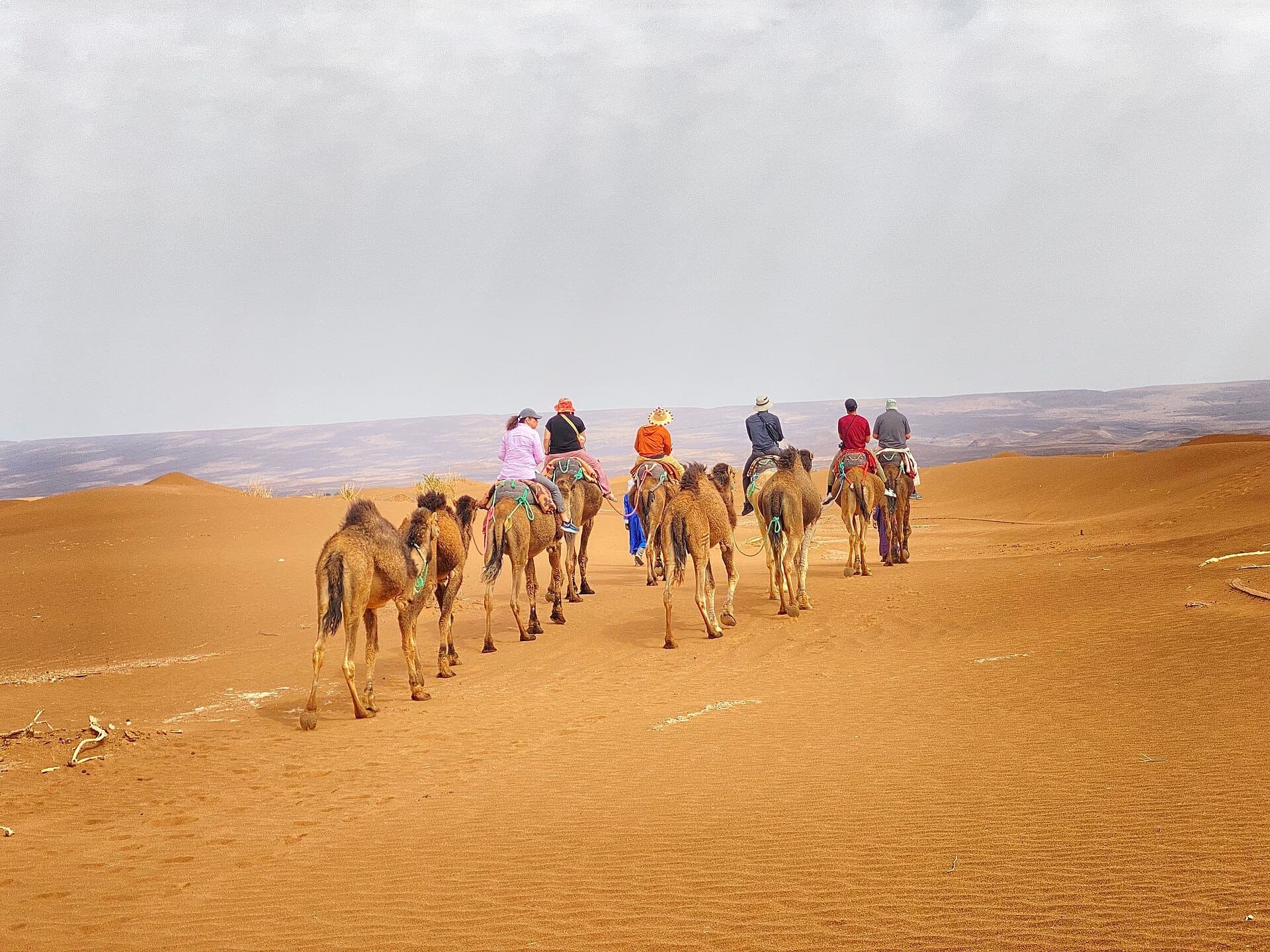 Camel trek