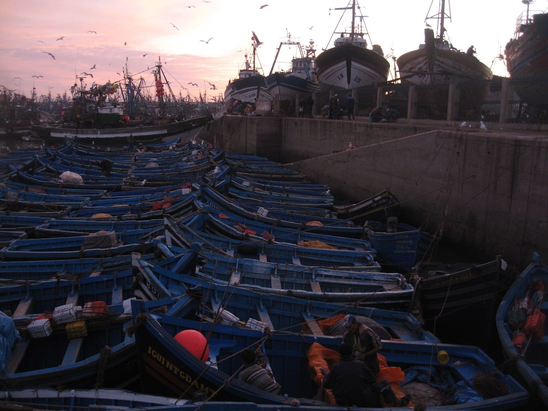 Blue fishing boats in Essaouira harbour at sunset