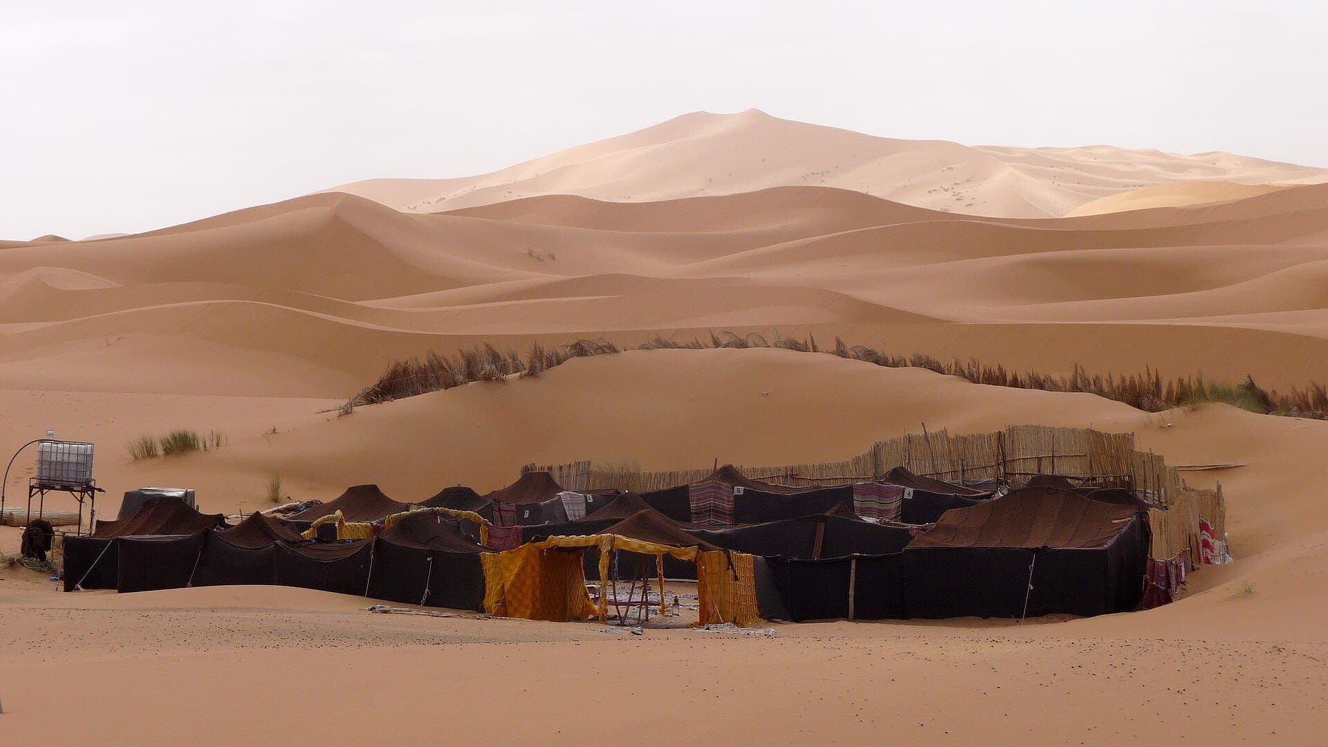 Hicham — Chauffeur-guide Sahara et 4x4