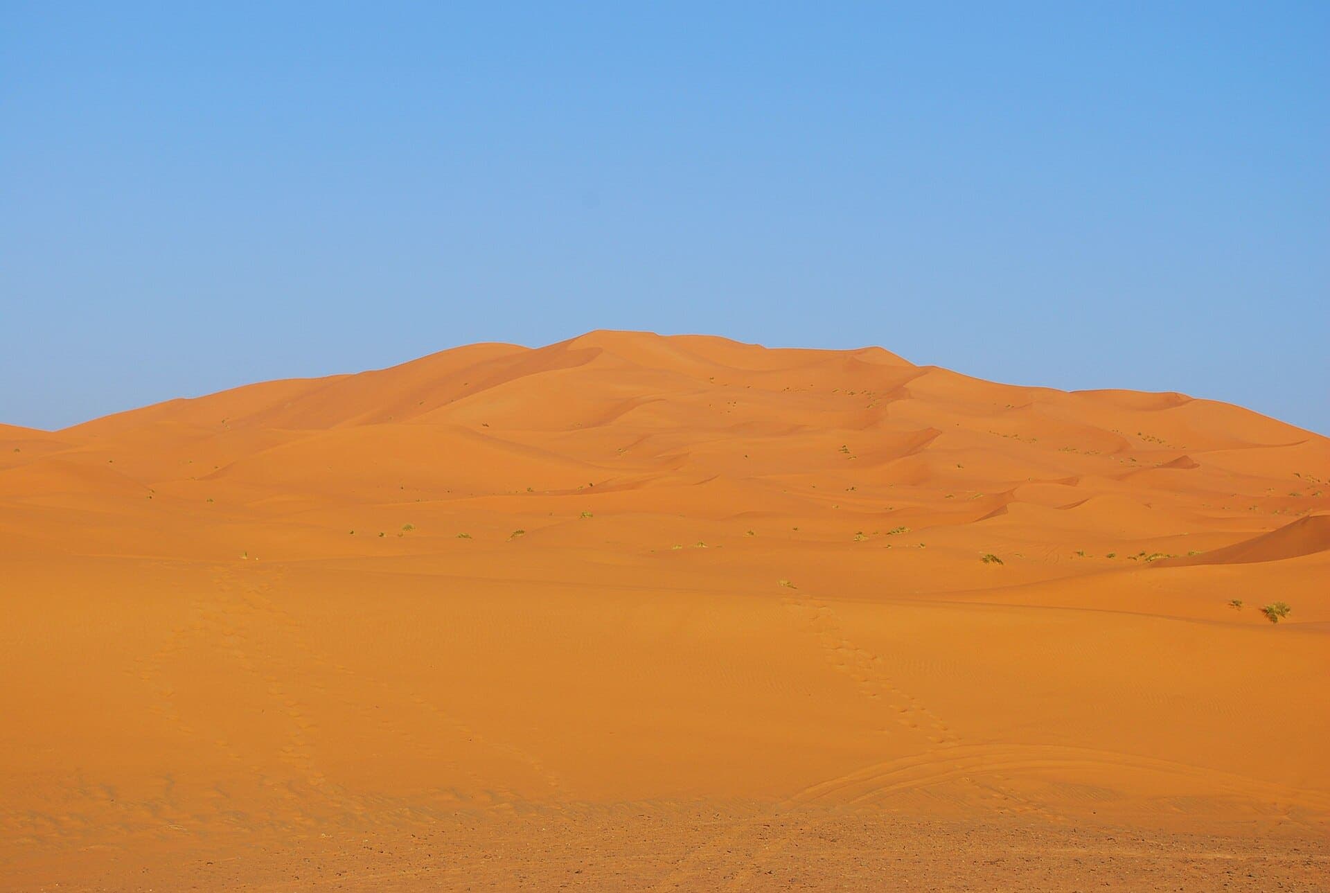Golden dunes of Erg Chebbi near Merzouga in the Moroccan Sahara